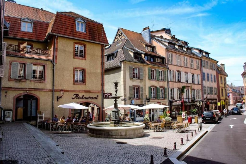 Le Celeste, Centre Historique, Wifi-netflix Apartment Belfort
